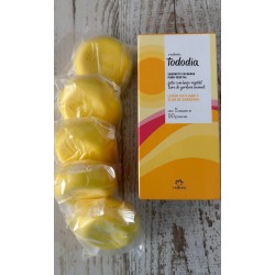 SABONETE EM BARRA TODODIA LIMAO SICILIANO E FLOR DE GARDENIA SABONETE EM BARRA TODODIA LIMAO SICILIANO E FLOR DE GARDENIA